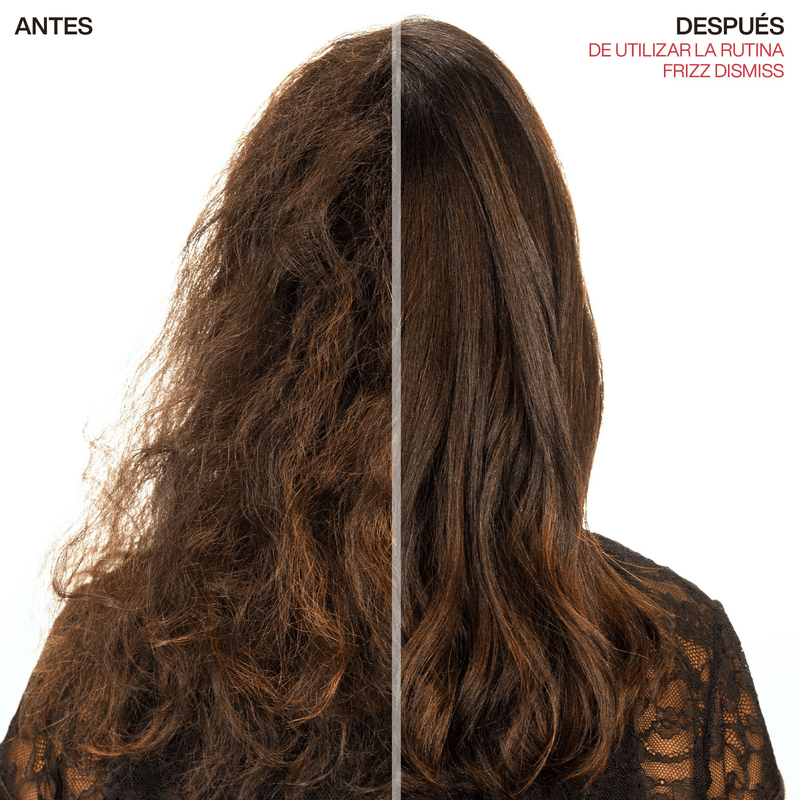 Tratamiento Redken Frizz Dismiss Anti Static 125ml